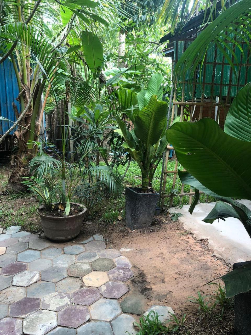 Sok Phen Homestay Siem Reap Bagian luar foto