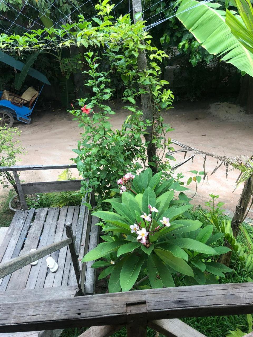 Sok Phen Homestay Siem Reap Bagian luar foto