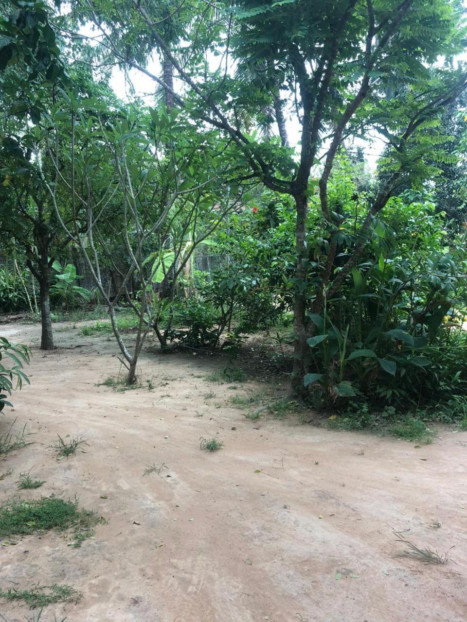 Sok Phen Homestay Siem Reap Bagian luar foto