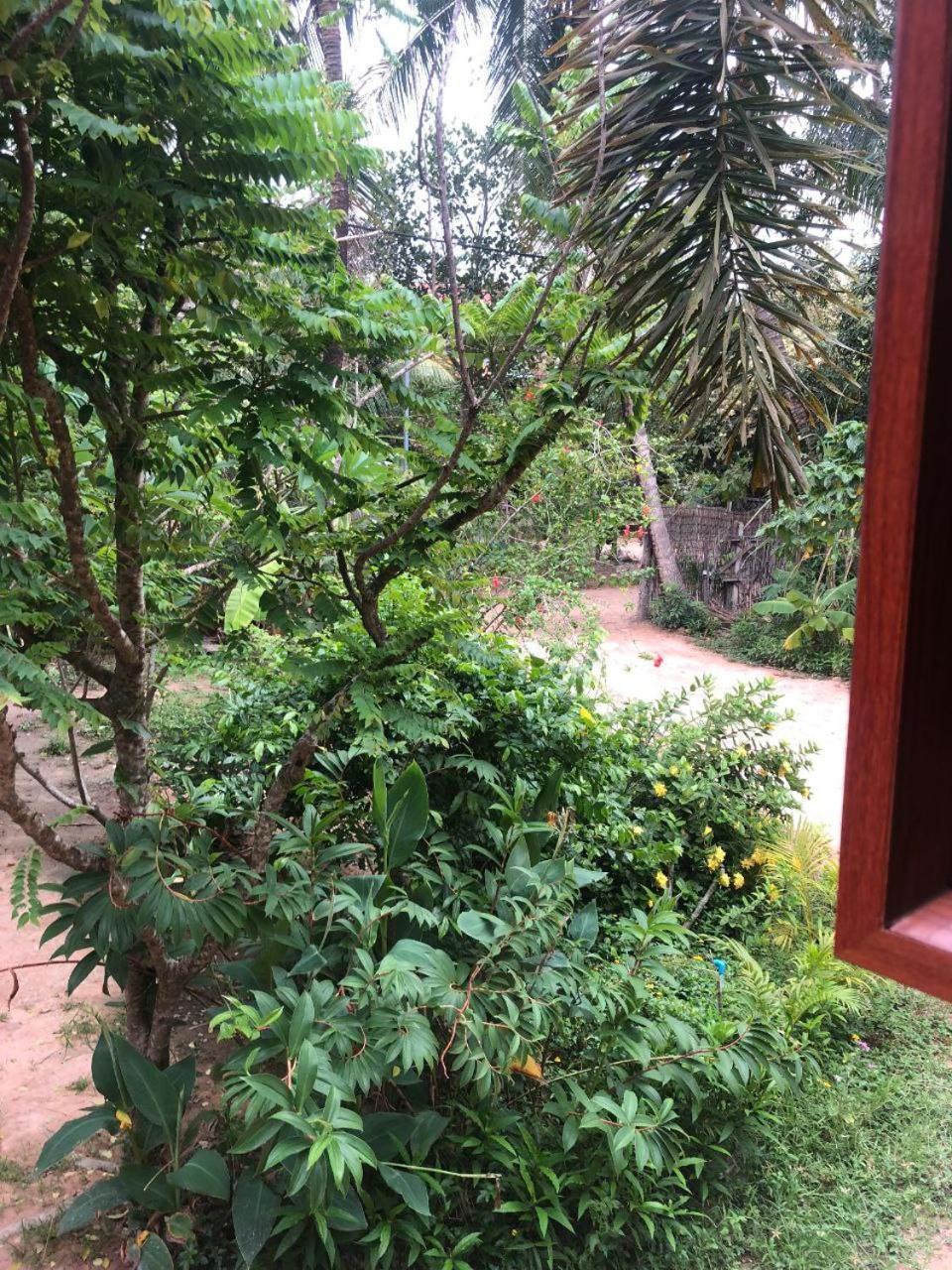 Sok Phen Homestay Siem Reap Bagian luar foto