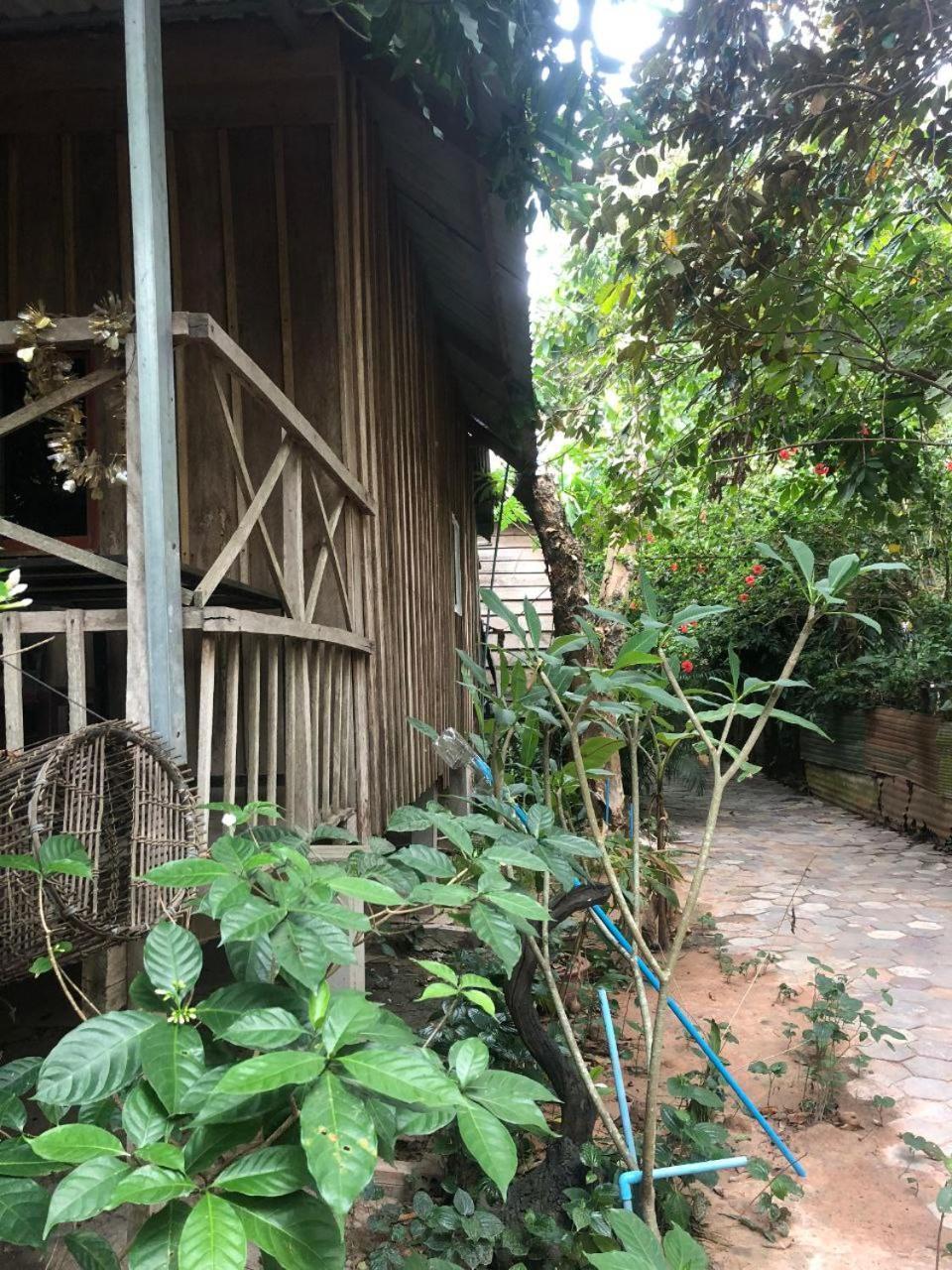 Sok Phen Homestay Siem Reap Bagian luar foto