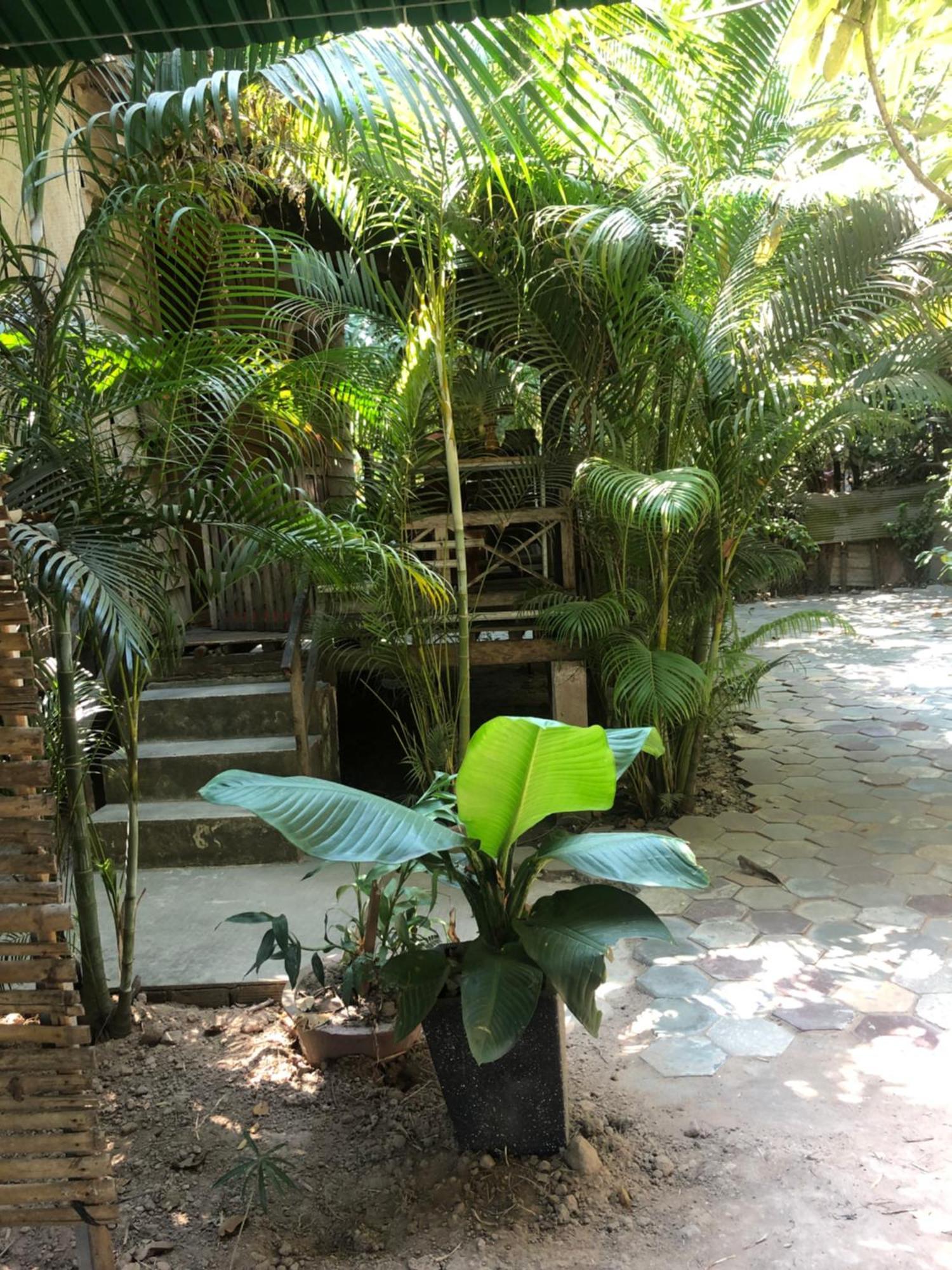 Sok Phen Homestay Siem Reap Bagian luar foto